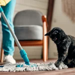 Nettoyant sol naturel sans danger pour chats et chiens : recette efficace et sécurisée
