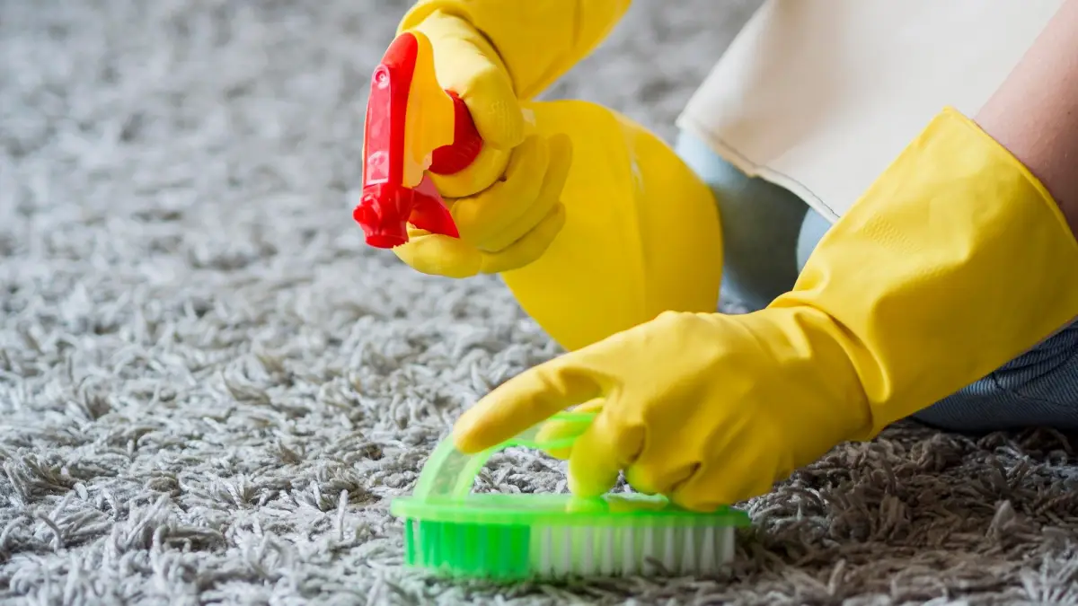 Recette facile de désodorisant naturel pour tapis de sol : éliminez les mauvaises odeurs avec des ingrédients maison
