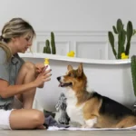 Ce shampoing naturel sans rinçage apaise les chiens sensibles : testé et validé par les maîtres exigeants