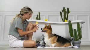 Ce shampoing naturel sans rinçage apaise les chiens sensibles : testé et validé par les maîtres exigeants